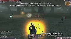 画像ギャラリー No.001のサムネイル画像 / 「The Chronicles of Spellborn」社内テストの様子を撮影したムービー