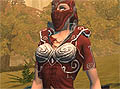 MMORPG「The Chronicles of Spellborn」，ワールドワイド向けオープンβテストがスタート