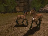 画像ギャラリー No.008のサムネイル画像 / 新感覚MMORPG「スペルボーン」のクローズドβテスト参加者募集は,9月14日開始