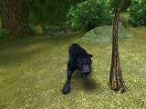画像ギャラリー No.011のサムネイル画像 / 新感覚MMORPG「スペルボーン」のクローズドβテスト参加者募集は,9月14日開始