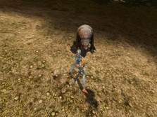 画像ギャラリー No.007のサムネイル画像 / MMORPG「スペルボーン」，日本独自のキャラクタービジュアルとCBT序盤に登場するスキル，モンスターの情報を公開
