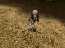 画像ギャラリー No.009のサムネイル画像 / MMORPG「スペルボーン」，日本独自のキャラクタービジュアルとCBT序盤に登場するスキル，モンスターの情報を公開