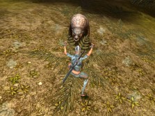 画像ギャラリー No.010のサムネイル画像 / MMORPG「スペルボーン」，日本独自のキャラクタービジュアルとCBT序盤に登場するスキル，モンスターの情報を公開