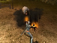 画像ギャラリー No.014のサムネイル画像 / MMORPG「スペルボーン」，日本独自のキャラクタービジュアルとCBT序盤に登場するスキル，モンスターの情報を公開