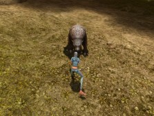 画像ギャラリー No.018のサムネイル画像 / MMORPG「スペルボーン」，日本独自のキャラクタービジュアルとCBT序盤に登場するスキル，モンスターの情報を公開