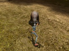 画像ギャラリー No.019のサムネイル画像 / MMORPG「スペルボーン」，日本独自のキャラクタービジュアルとCBT序盤に登場するスキル，モンスターの情報を公開