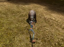 画像ギャラリー No.020のサムネイル画像 / MMORPG「スペルボーン」，日本独自のキャラクタービジュアルとCBT序盤に登場するスキル，モンスターの情報を公開
