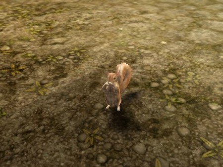 画像ギャラリー No.030のサムネイル画像 / MMORPG「スペルボーン」，日本独自のキャラクタービジュアルとCBT序盤に登場するスキル，モンスターの情報を公開