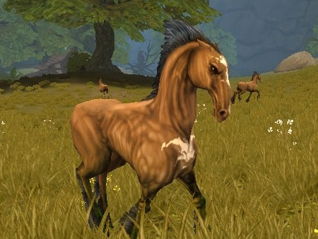 画像ギャラリー No.035のサムネイル画像 / MMORPG「スペルボーン」，日本独自のキャラクタービジュアルとCBT序盤に登場するスキル，モンスターの情報を公開