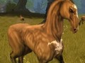 MMORPG「スペルボーン」，日本独自のキャラクタービジュアルとCBT序盤に登場するスキル，モンスターの情報を公開