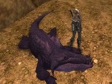 画像ギャラリー No.002のサムネイル画像 / 戦闘が面白いMMORPG「スペルボーン」で，レベルキャップ上昇＆マップ追加のアップデートを実施！ モンスター討伐イベントも同時に開催