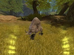 画像ギャラリー No.020のサムネイル画像 / 戦闘が面白いMMORPG「スペルボーン」で，レベルキャップ上昇＆マップ追加のアップデートを実施！ モンスター討伐イベントも同時に開催
