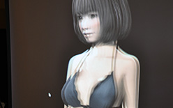 画像ギャラリー No.015のサムネイル画像 / NVIDIA,秋葉原のユーザー向けイベントで「GeForce 3D Vision」「PhysX」などをアピール