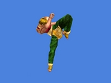 画像ギャラリー No.036のサムネイル画像 / 「覇拳伝」はキャラクターの能力をカスタマイズ可能な本格3D格闘。ガンホープレスカンファレンスその4