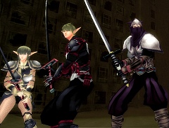 画像ギャラリー No.015のサムネイル画像 / 「BASTARD!! -ONLINE-」インタビュー，グラフィックスは全面改訂？　2009年公開に向けた新たな動きを探る