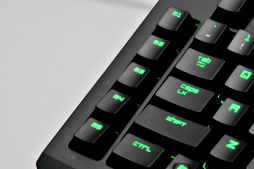 画像ギャラリー No.004のサムネイル画像 / 「Razer BlackWidow Ultimate 2013」を試す。青軸採用のゲーマー向けキーボードは,2013年モデルで何が変わったか