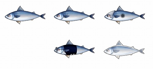 画像ギャラリー No.005のサムネイル画像 / 「LIENS Online」珍しい魚を釣り上げよう。釣りシステム新登場