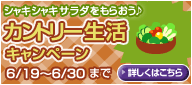 画像ギャラリー No.019のサムネイル画像 / 「Barvillage」の新アイテムは,「お風呂」シリーズ