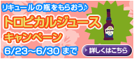 画像ギャラリー No.024のサムネイル画像 / 「バルビレッジ」新カプセルマシーン「ハッピーアクアルーム」を発売