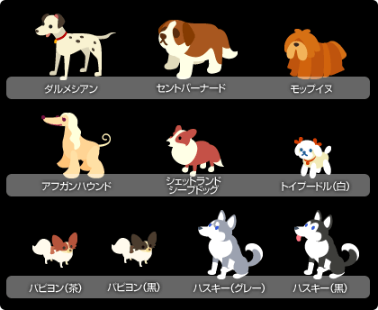 画像ギャラリー No.004のサムネイル画像 / 「バルビレッジ」新バラエティアイテム「アラビアンボックス」販売
