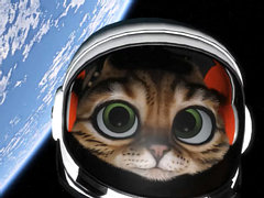 DayZを生んだディーン・ホール氏の新作「Kitten Space Agency」は，子猫の宇宙開発物語。初のティザー動画と無料プレα版を公開