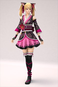 画像ギャラリー No.005のサムネイル画像 / 「サドンアタック」，不正ツール防止プログラム「NGS」を導入