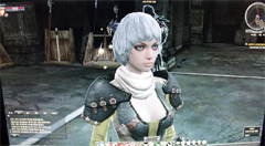 画像ギャラリー No.003のサムネイル画像 / ［G-Star 2010］さらなる変貌をとげて「NED」がプレイアブル出展。背中に飛び乗って動物を調教する“フェローシステム”がメイン要素に