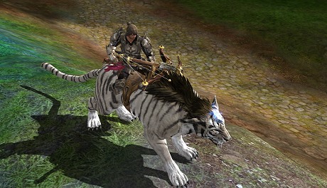 画像ギャラリー No.013のサムネイル画像 / アクション戦闘要素も取り入れた本格ファンタジーMMORPG「NED」とはどんなゲームなのか？