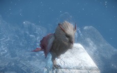 画像ギャラリー No.015のサムネイル画像 / 「ICARUS ONLINE」ディザーサイトを更新。モンスターを捕獲して活用する「フェローシステム」と，その捕獲動画を公開