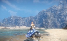 画像ギャラリー No.019のサムネイル画像 / 「ICARUS ONLINE」ディザーサイトを更新。モンスターを捕獲して活用する「フェローシステム」と，その捕獲動画を公開