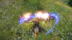 画像ギャラリー No.002のサムネイル画像 / 「ICARUS ONLINE」，フェロー騎乗時に使用できる専用武器と，フェローをペット化するシステムが公開に
