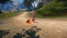 画像ギャラリー No.010のサムネイル画像 / 「ICARUS ONLINE」，フェロー騎乗時に使用できる専用武器と，フェローをペット化するシステムが公開に