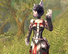 画像ギャラリー No.002のサムネイル画像 / MMORPG「ARCHLORD」，特殊マップ「カオティックフロンティア」を本日実装＆EPISODE6「CHAOTIC FRONTIER」へ移行