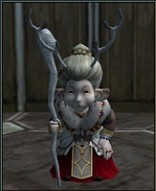 画像ギャラリー No.014のサムネイル画像 / MMORPG「ラストカオス」，新種族「ナイトシャドウ」を含む大型アップデート「エクステンションパック2」を2010年2月18日に実装！