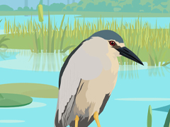 絶滅寸前の鳥類を保護するドームを巡り，鳥を研究・記録して図鑑を埋めていく。バードウォッチングを題材にしたデッキ構築カードゲーム「Feather Trace」発表