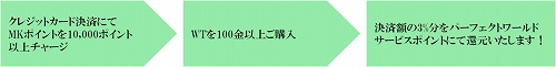 画像ギャラリー No.002のサムネイル画像 / 「Perfect World」“PWJC前哨大会”各ワールドの優勝ギルドが公開に