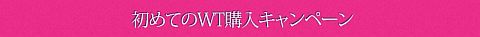 画像ギャラリー No.003のサムネイル画像 / 「Perfect World」，到達したレベルに応じて結丹石と身代わり札をプレゼント