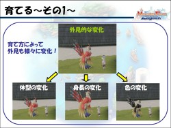 画像ギャラリー No.008のサムネイル画像 / 1年間の休止/再開発の結果，“後継作”としての登場が決定！ 「モンスターファーム ラグーン」説明会レポート