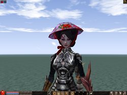 画像ギャラリー No.014のサムネイル画像 / 「METIN2」本日のアップデートで「邪鬼塔上層階を実装
