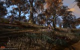 DARK FALL:UNHOLY WARS