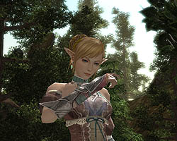 画像ギャラリー No.004のサムネイル画像 / NHN Japan,ギルドの成長が重要なMMORPG「R2 -Reign of Revolution」の日本国内独占提供契約締結を発表