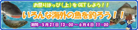 画像ギャラリー No.002のサムネイル画像 / 「釣りパラ！」海外魚から手に入る「お祭りはっぴ」でワッショイだ