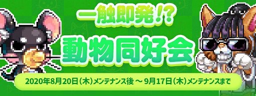 画像ギャラリー No.004のサムネイル画像 / 「トキメキファンタジー ラテール」，決闘場をリニューアルするアップデートが実装