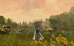 画像ギャラリー No.005のサムネイル画像 / ［GC 2008＃40］MMORPG「Aion：The Tower of Eternity」の戦闘や飛行シーンが見られる直撮りプレイムービーをUp