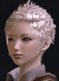 画像ギャラリー No.026のサムネイル画像 / 「The Tower of Aion」先行体験プレイレポート:キャラクターエディット編