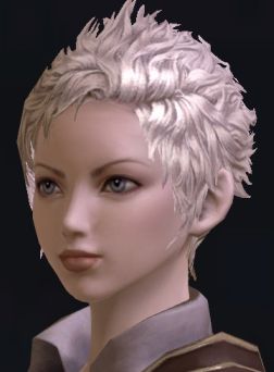 画像ギャラリー No.030のサムネイル画像 / 「The Tower of Aion」先行体験プレイレポート:キャラクターエディット編