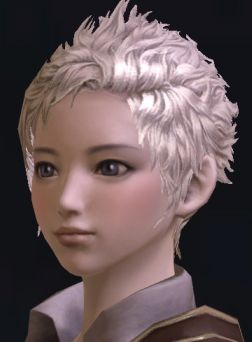 画像ギャラリー No.031のサムネイル画像 / 「The Tower of Aion」先行体験プレイレポート:キャラクターエディット編