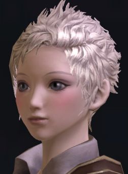 画像ギャラリー No.034のサムネイル画像 / 「The Tower of Aion」先行体験プレイレポート:キャラクターエディット編