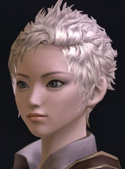 画像ギャラリー No.038のサムネイル画像 / 「The Tower of Aion」先行体験プレイレポート:キャラクターエディット編