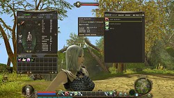 画像ギャラリー No.014のサムネイル画像 / 聞きしに勝る大作MMORPG「The Tower of AION」の先行プレイレポートを4Gamerに掲載
